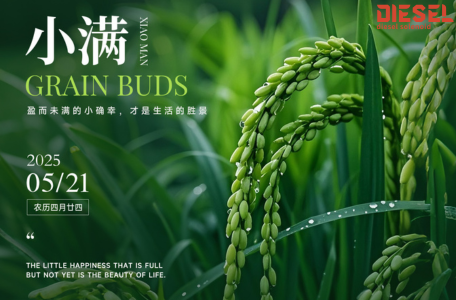 Diesel Diesel Solenoid Valve - Blog