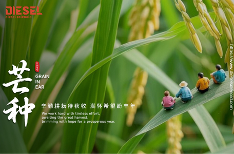 Diesel Diesel Solenoid Valve - Blog